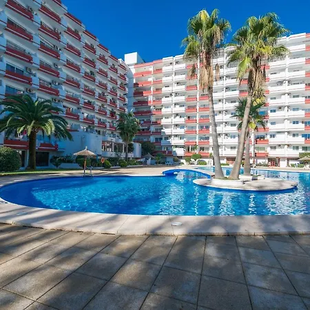 Appartamento Nice Studio In Siesta 2 In Puerto 5 *